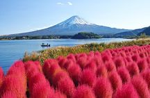 Mount Fuji Private Custom Tour with Local English Speaking Guide