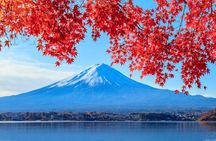 Mount Fuji Private Custom Tour with Local English Speaking Guide