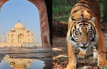 4 Day Golden Triangle with Ranthambore Tiger Safari from Delhi