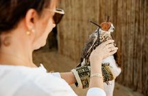 Hot air Balloon With Vintage Land Rover & Breakfast