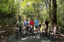 Bangkok Green Oasis Nature Bike Tour