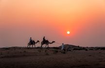 Abu Dhabi Half Day Desert Safari
