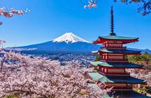 Mount Fuji Private Custom Tour with Local English Speaking Guide
