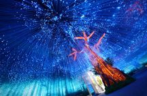 3Mirage Immersive Virtual Tour Family Pass