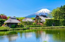 Mount Fuji Private Custom Tour with Local English Speaking Guide