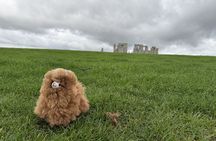 Private Tour Stonehenge Windsor Castle Bath