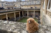 Private Tour Stonehenge Windsor Castle Bath