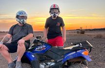 Camel Ride and Quad Adventure in the Palm Grove of Marrakech