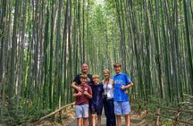 Kyoto Arashiyama Bamboo, Temple, Monkey or Local Mountain Brewery