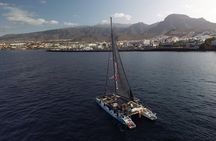 Watching and Listening Whales visiting Los Gigantes&Masca. Food&drinks included