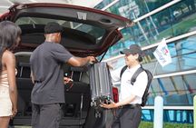 Best of Miami with Cruise Port Pick-up