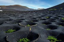 Taste Tradition 4 Wineries and Tapas Bar