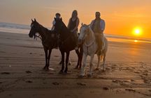 Beach Ride in Tamraght and Taghazout