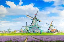 Windmill Tour from Amsterdam, Including Volendam & Marken