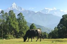 Australian Camp Trek - A beautiful short day hike from Pokhara