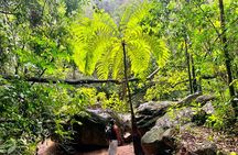 Mismaloya Waterfalls Jungle Hike Full Day Adventure