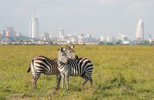 Nairobi National Park Tour- Morning Drive