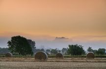 Stirling Castle, Kelpies, Falkirk Wheel, Cows Half Day Tour