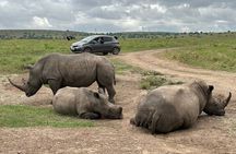 Nairobi National Park Safari- Morning Game Drive