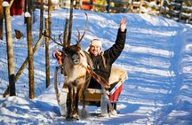 Rovaniemi Reindeer and Husky Ride with Transfers