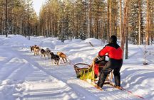 Husky Farm Visit and Sleigh Ride Through Snowy Landscapes