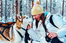 Husky Farm Visit and Sleigh Ride Through Snowy Landscapes
