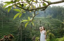 Ubud Highlight: Best of Ubud Private Day Tour with Local Guide