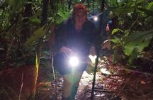 Drake Bay - Private Primary Rainforest Tour (Corcovado Next Door)