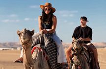 Siwa Oasis Camel Ride & Sandboarding Sunset or Sunrise 