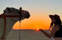 Siwa Oasis Camel Ride & Sandboarding Sunset or Sunrise 