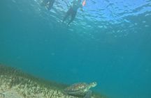 One on One Snorkel Experience