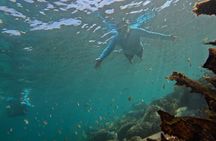 One on One Snorkel Experience