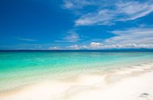 Catlina Island | Free Diving and Transportation