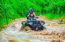 Buggy Adventure Tour with Chocolate and Coffee, Beach, Cenote, Mud