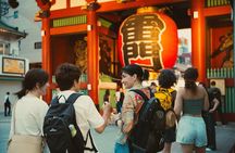 Tokyo Customized Private Tour: See Top Attractions in 1 Day