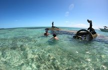 Top 4 Snorkeling Adventures in Bimini