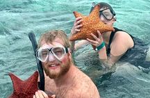 Top 4 Snorkeling Adventures in Bimini