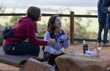 Perth Wildlife Tour Under the Stars with Dinner