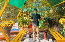 Phuket Highlights Private Shore Excursion from Cruise Ship