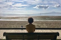 Full-Day Grand Auckland Volcanoes Tour