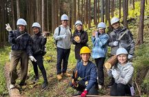 Ecotourism and Woodcraft with a Mountain Artist Near Tokyo