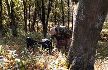 Truffle Hunt with Foie Gras & Wine Tasting with Budapest Pickup