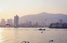 Colors of Busan: Sky Capsule, Jagalchi Market & Night Views