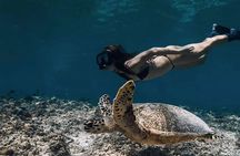 4 in 1 Nusa Lembongan Snorkel and Sunset Half Day Dinner Cruise