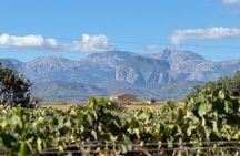 AVENIDA WINE EXPERIENCE- Treasures of the local wine