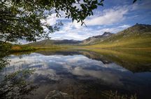 Tromsø: Big Bus Fjord Tour with free photos and wildlife