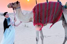 Desert Safari Abu Dhabi with Activities Dinner and Live Shows