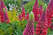 South Cotswolds Private Day Tour from Bath