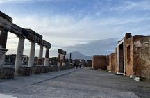 Sorrento and Pompeii Luxury Private Tour