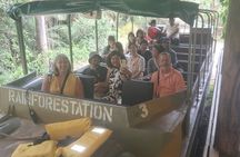 Kuranda Scenic Railway and Rainforest Station (Small Group)